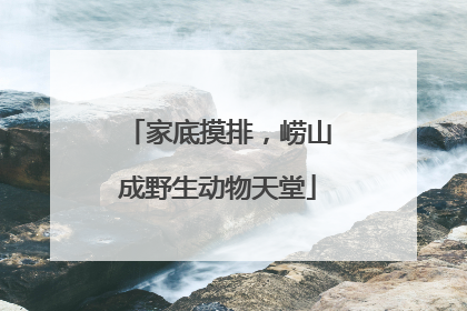 家底摸排，崂山成野生动物天堂