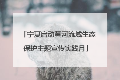 宁夏启动黄河流域生态保护主题宣传实践月