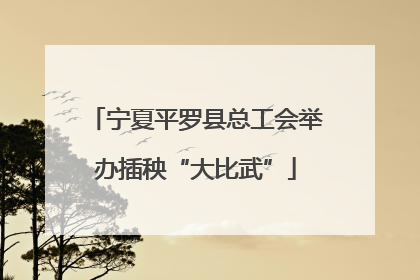宁夏平罗县总工会举办插秧“大比武”