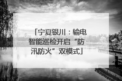 宁夏银川：输电智能巡检开启“防汛防火”双模式