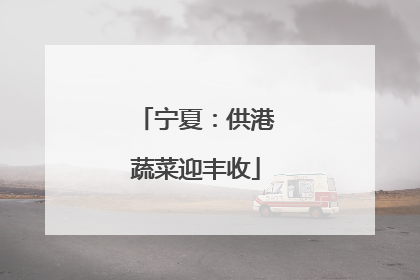 宁夏：供港蔬菜迎丰收