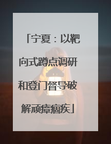 宁夏：以靶向式蹲点调研和登门督导破解顽瘴痼疾