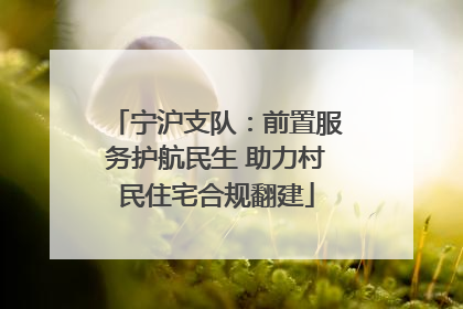 宁沪支队：前置服务护航民生 助力村民住宅合规翻建