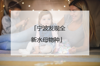 宁波发现全新水母物种