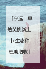 宁远：早熟黄桃新上市 生态种植助增收