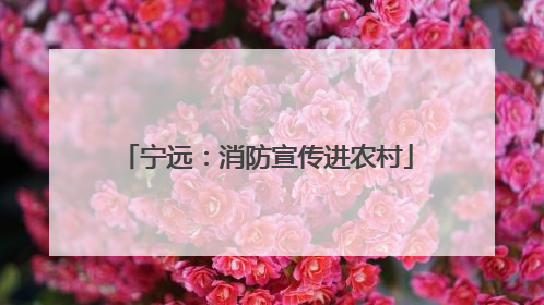 宁远：消防宣传进农村
