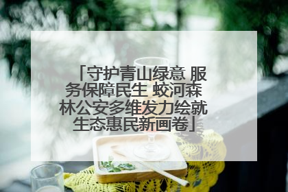 守护青山绿意 服务保障民生 蛟河森林公安多维发力绘就生态惠民新画卷