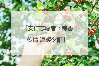 安仁志愿者：粽香传情 温暖夕阳