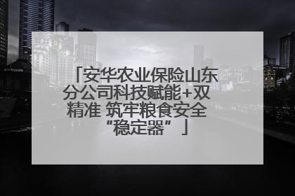 安华农业保险山东分公司科技赋能+双精准 筑牢粮食安全“稳定器”