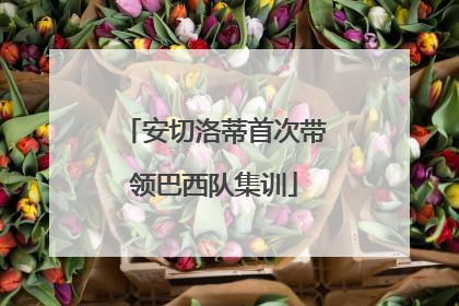 安切洛蒂首次带领巴西队集训
