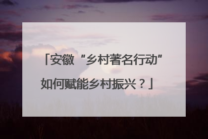 安徽“乡村著名行动”如何赋能乡村振兴？