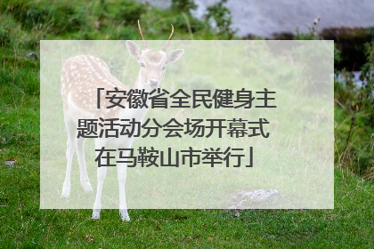 安徽省全民健身主题活动分会场开幕式在马鞍山市举行