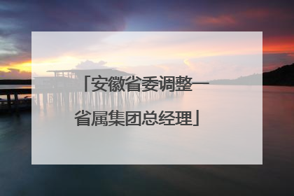 安徽省委调整一省属集团总经理