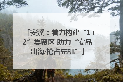 安溪：着力构建“1+2”集聚区 助力“安品出海·抢占先机”