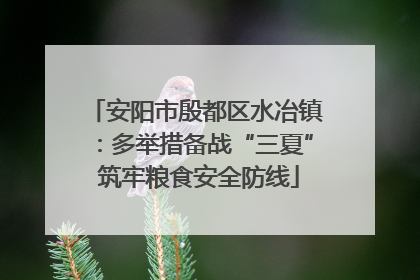 安阳市殷都区水冶镇：多举措备战“三夏” 筑牢粮食安全防线