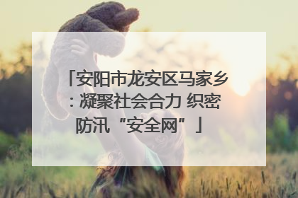 安阳市龙安区马家乡：凝聚社会合力 织密防汛“安全网”