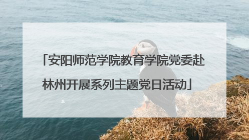 安阳师范学院教育学院党委赴林州开展系列主题党日活动