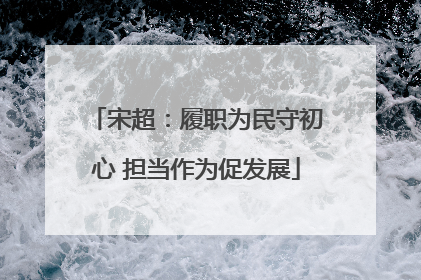 宋超：履职为民守初心 担当作为促发展