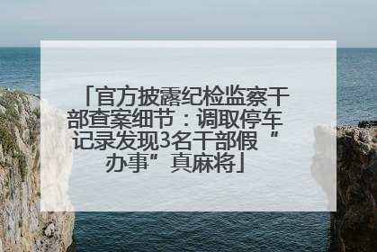 官方披露纪检监察干部查案细节：调取停车记录发现3名干部假“办事”真麻将