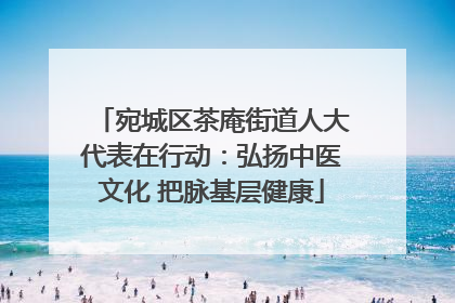 宛城区茶庵街道人大代表在行动：弘扬中医文化 把脉基层健康