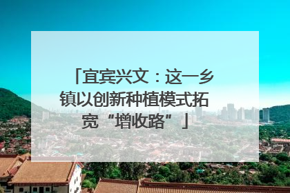 宜宾兴文：这一乡镇以创新种植模式拓宽“增收路”