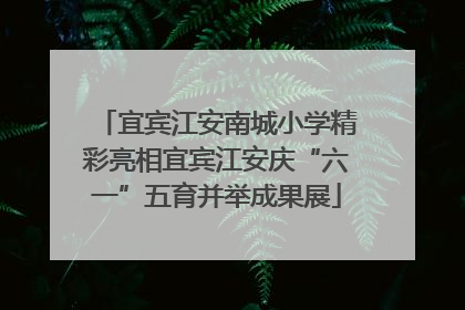 宜宾江安南城小学精彩亮相宜宾江安庆“六一”五育并举成果展