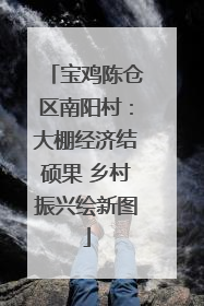 宝鸡陈仓区南阳村：大棚经济结硕果 乡村振兴绘新图