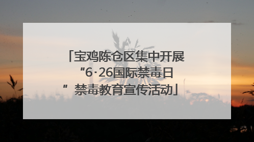 宝鸡陈仓区集中开展“6･26国际禁毒日”禁毒教育宣传活动