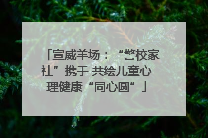 宣威羊场：“警校家社”携手 共绘儿童心理健康“同心圆”