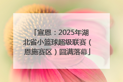 宣恩：2025年湖北省小篮球超级联赛（恩施赛区）圆满落幕