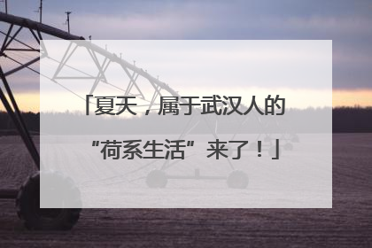 夏天，属于武汉人的“荷系生活”来了！