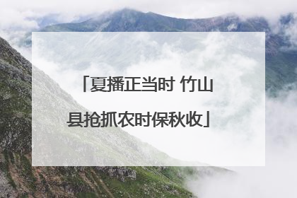 夏播正当时 竹山县抢抓农时保秋收