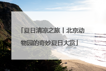 夏日清凉之旅丨北京动物园的奇妙夏日大赏