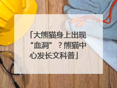 大熊猫身上出现“血洞”？熊猫中心发长文科普