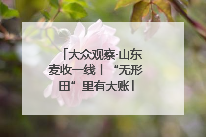 大众观察·山东麦收一线丨“无形田”里有大账