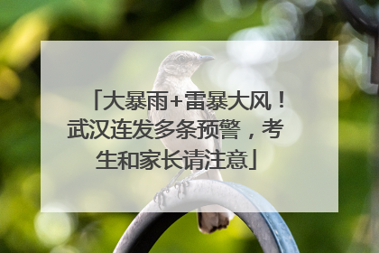 大暴雨+雷暴大风！武汉连发多条预警，考生和家长请注意