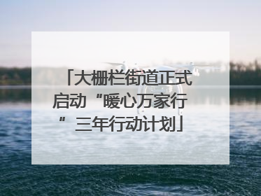 大栅栏街道正式启动“暖心万家行”三年行动计划