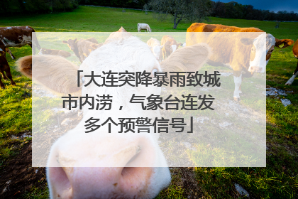 大连突降暴雨致城市内涝，气象台连发多个预警信号
