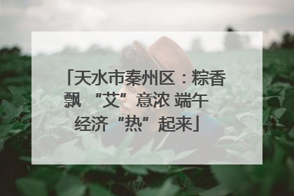 天水市秦州区：粽香飘 “艾”意浓 端午经济“热”起来