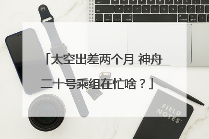 太空出差两个月 神舟二十号乘组在忙啥？
