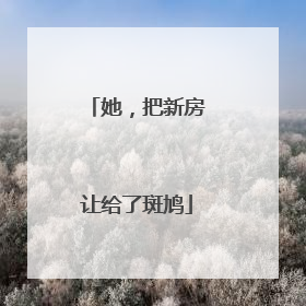 她，把新房让给了斑鸠