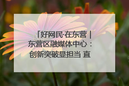 好网民·在东营｜东营区融媒体中心：创新突破显担当 直播赋能谱华章
