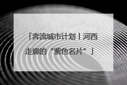 奔流城市计划丨河西走廊的“紫色名片”