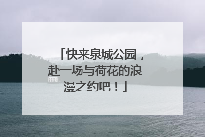 快来泉城公园，赴一场与荷花的浪漫之约吧！