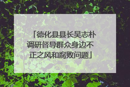 德化县县长吴志朴调研督导群众身边不正之风和腐败问题