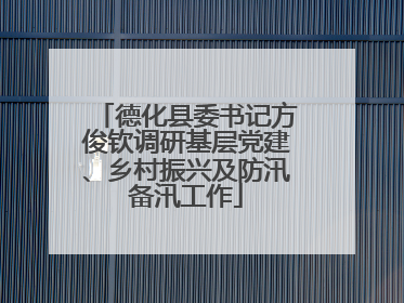 德化县委书记方俊钦调研基层党建、乡村振兴及防汛备汛工作