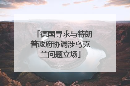 德国寻求与特朗普政府协调涉乌克兰问题立场
