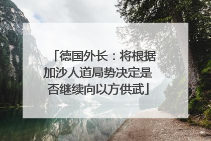 德国外长：将根据加沙人道局势决定是否继续向以方供武