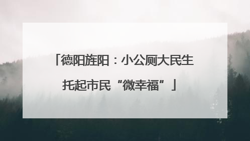 德阳旌阳：小公厕大民生 托起市民“微幸福”