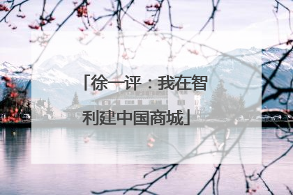 徐一评：我在智利建中国商城